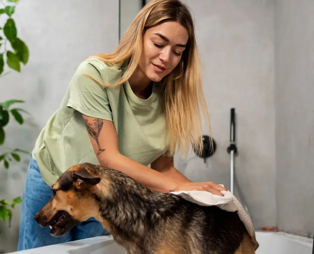 Woman washing a dog in a bathtub