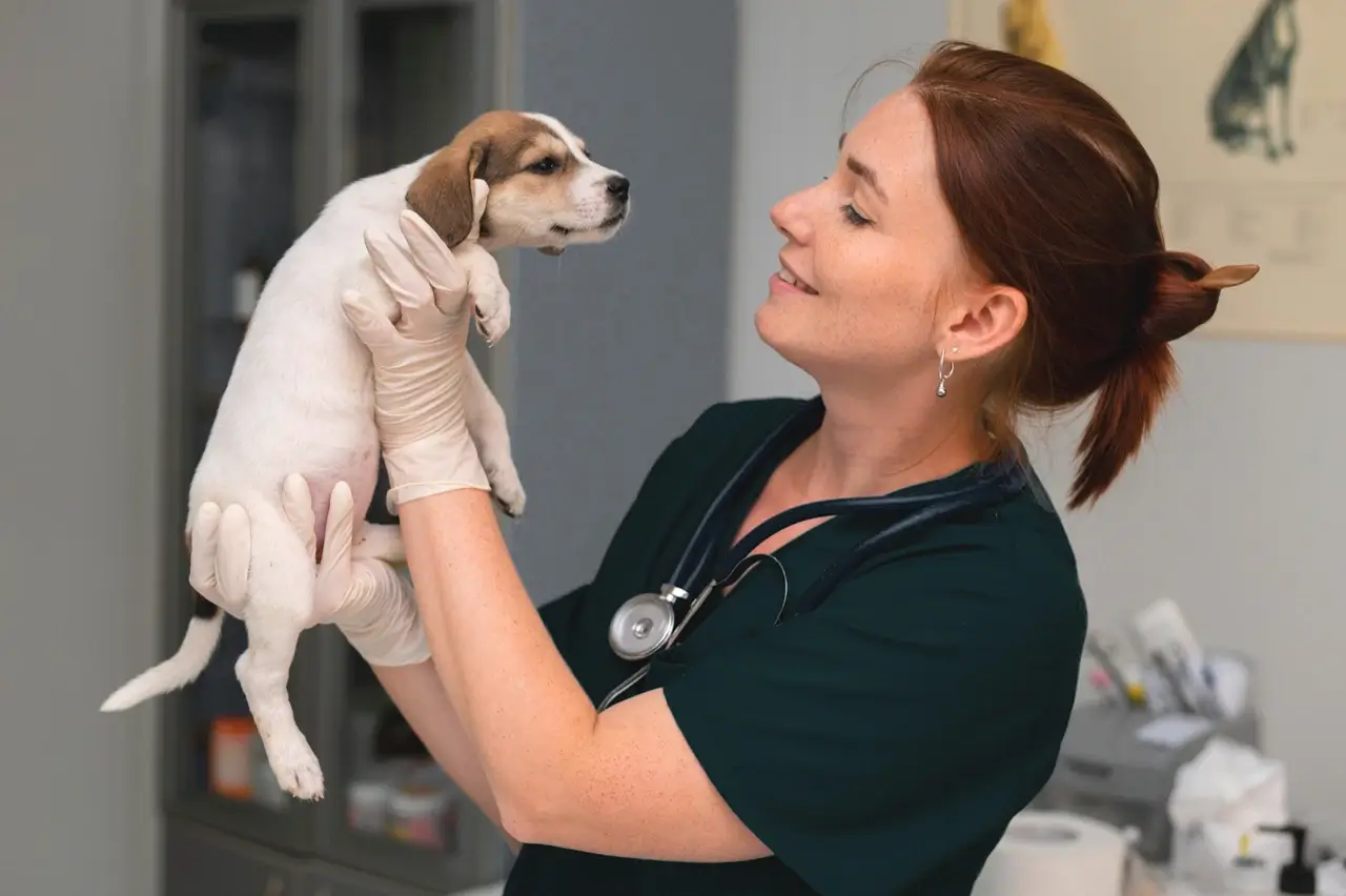 Veterinarian with puppy